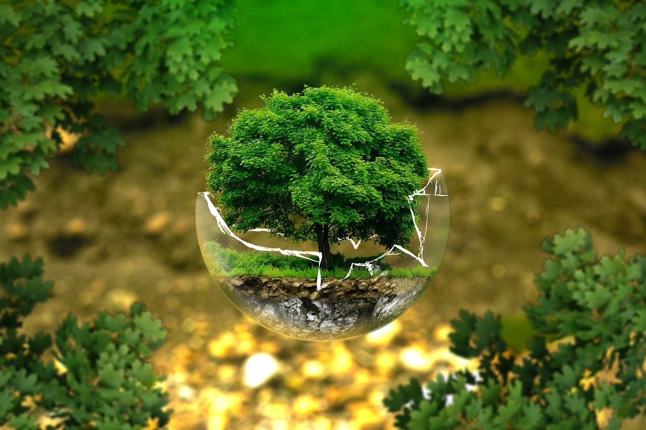 Moda y Belleza Sostenible: Productos y Marcas Eco-Friendly