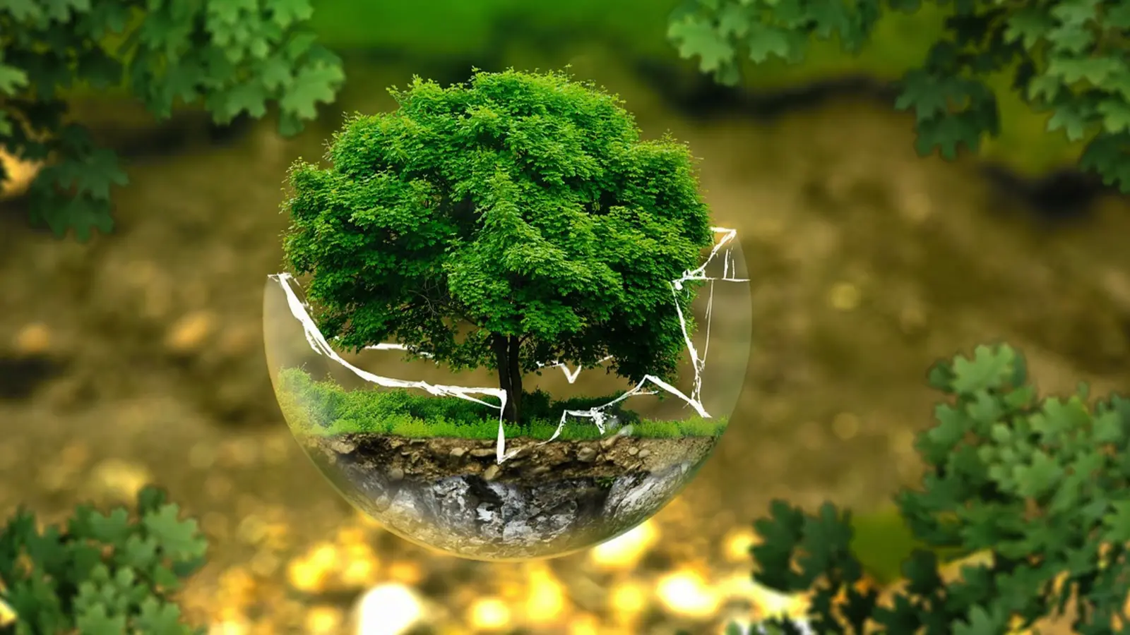 Telas Recicladas